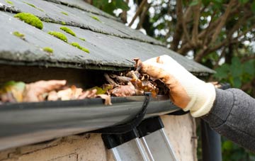 gutter cleaning Carsegownie, Angus