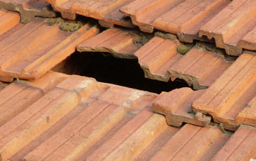 roof repair Carsegownie, Angus