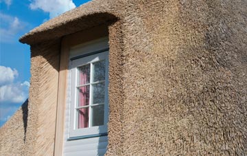 Carsegownie thatch roof disadvantages