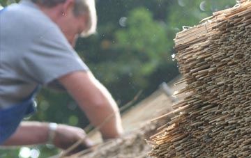 professional Carsegownie thatchers